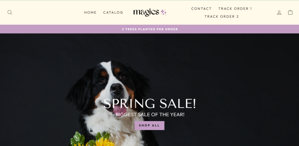 Magicswear Reviews 2026: Is Magicswear.com Legit or a Scam Shopping Website?