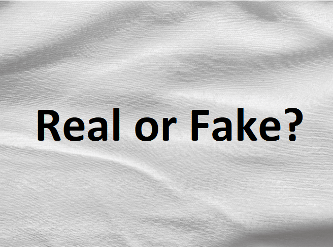 Aeysa Real or AI? Is Aeysa a Real Singer or an AI-Generated Virtual Artist?